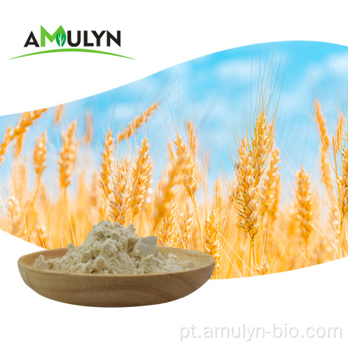 Proteína em pó de concentrado hidrolisado de trigo a 80% à base de plantas